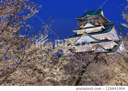 Illumination of cherry blossoms at Osaka Castle (Chuo-ku, Osaka City, Osaka Prefecture) Illumination of cherry blossoms at Osaka Castle (Chuo-ku, Osaka City, Osaka Prefecture) 126641904