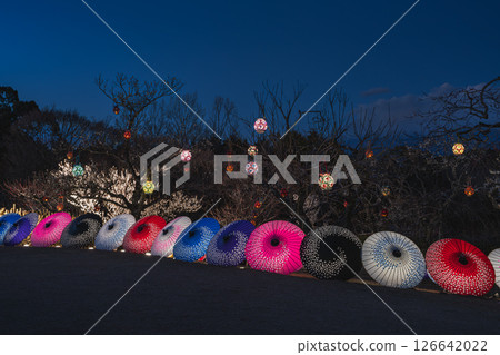 富士市岩本山公園的日式遮陽傘（靜岡縣） 126642022