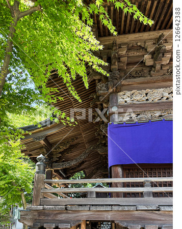 被新綠環繞的神社建築 被新綠環繞的神社建築 126642388