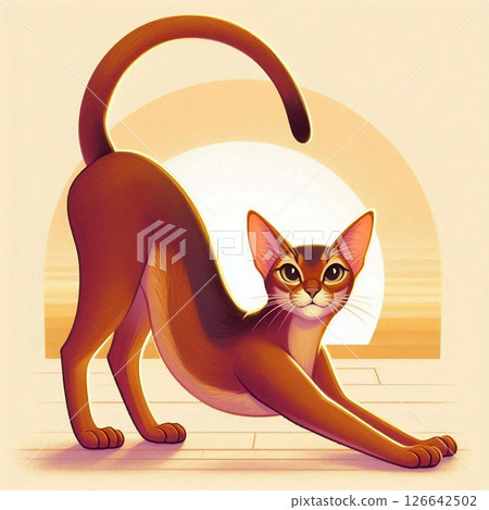 阿比西尼亞貓伸展運動 126642502