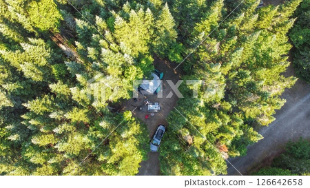 Small travel trailer parked in the middle of the dense evergreen forest near the road 126642658