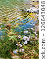 Riverside 126643048