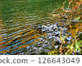 Riverside 126643049