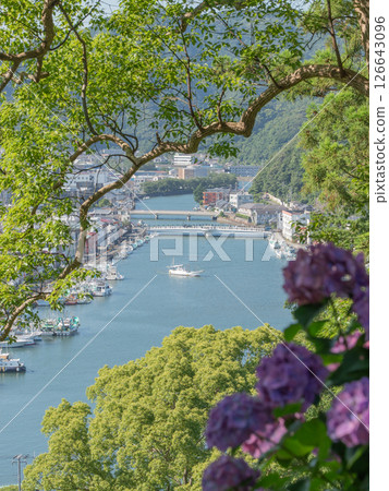A port town seen through the hydrangeas 126643096