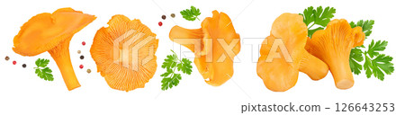 Chanterelle mushroom isolated on a white background. Top view. Flat lay 126643253