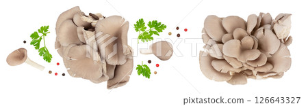 Oyster mushrooms isolated on white background with full depth of field. Top view. Flat lay 126643327
