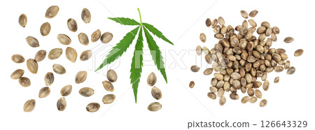 Hemp seeds isolated on white background with full depth of field. Top view. Flat lay Hemp seeds isolated on white background with full depth of field. Top view. Flat lay 126643329