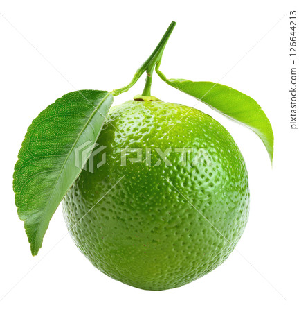 Lime with leaves 126644213