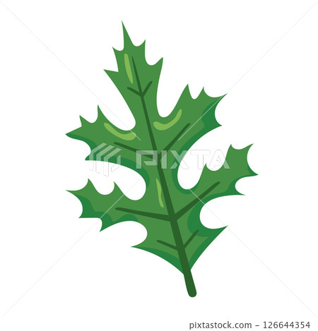 Green spiky holly leaf. Vector 126644354