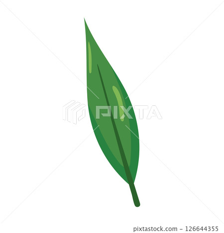 Green narrow leaf icon. Vector 126644355