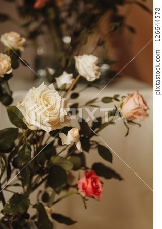 Fresh white and pink roses in soft light on blurred indoor background 126644578