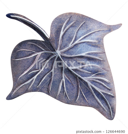 Dark purple ivy leaf. Gothic botanical isolated watercolor illustration. Perfect for Halloween design, gothic stationery, or dark bouquet and print. Detailed mystical floral element for postcard, card 126644690