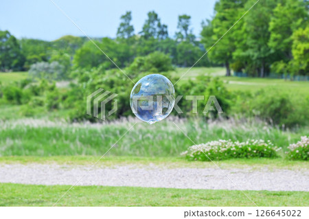 Fresh green park and soap bubbles. Soap bubbles and fresh green scenery. Image material. Background material. 126645022