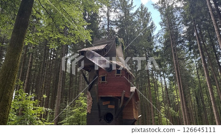 Playhouse in the forest with wooden slide and towers for children adventure and fun 126645111