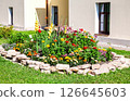 Beautiful flower bed with various plants and flowers 126645603