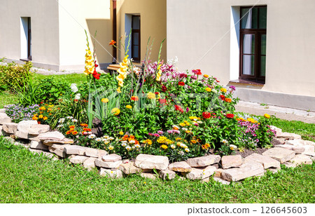 Beautiful flower bed with various plants and flowers 126645603