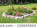 Flower bed in a city park with various plants and flowers 126645604