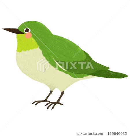 手繪的可愛日本繡眼鳥插圖 手繪的可愛日本繡眼鳥插圖 126646085