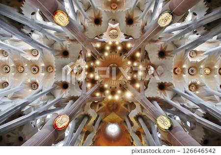 Sagrada Familia ceiling (Barcelona) 126646542