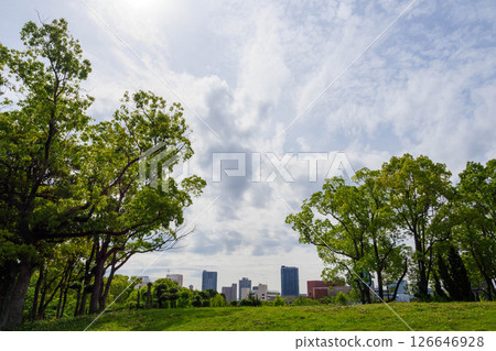 神戶的大倉山公園初夏綠意盎然 神戶的大倉山公園初夏綠意盎然 126646928