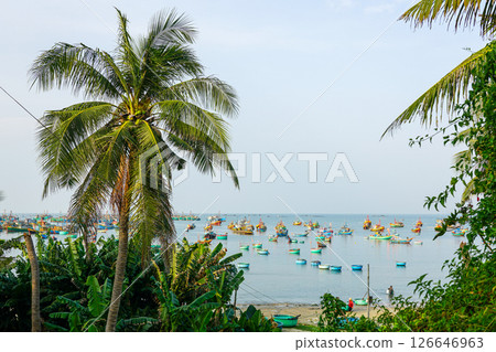 Tropical palm trees overlook fishing boats floating peacefully on calm waters of a Vietnamese bay 126646963