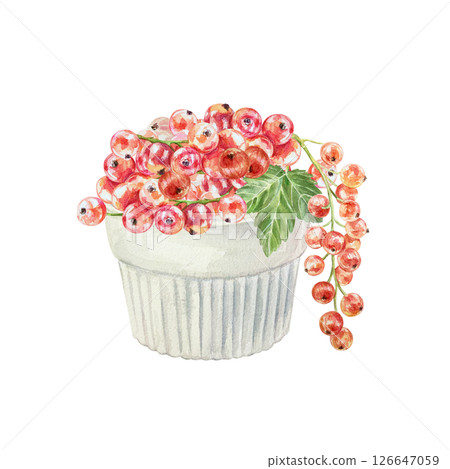 Currants in a white bowl. Hanging bunch of red berries, green leaf. Hand drawn watercolor illustration isolated on white. For cards, invitations, food labels, banners, posters. Currants in a white bowl. Hanging bunch of red berries, green leaf. Hand drawn watercolor illustration isolated on white. For cards, invitations, food labels, banners, posters. 126647059