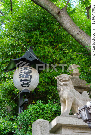 神戶北野天滿宮,初夏綠意盎然 神戶北野天滿宮,初夏綠意盎然 126647092