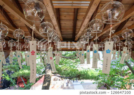 神戶北野天滿宮，初夏綠意盎然 126647100