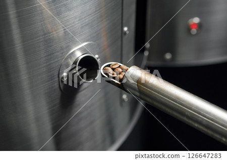 Coffee roaster man extracting freshly roasted beans using sampler at roasting facility 126647283