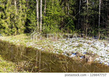 riverbank with freshly fallen snow on green grass riverbank with freshly fallen snow on green grass 126647737