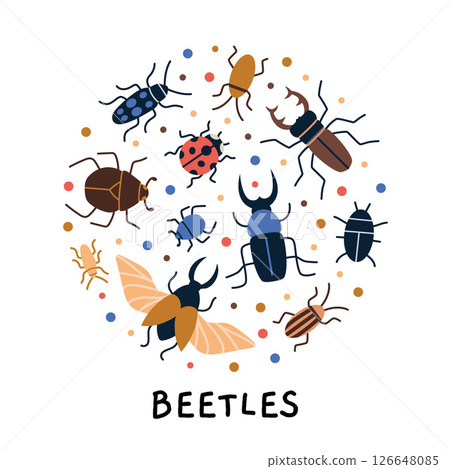 Circle composition with various insects bugs like stag beetle, ladybug, dung and scarab. Design for nature themes, kids decor and joyful summer art. Modern vector illustration, hand drawn, flat 126648085