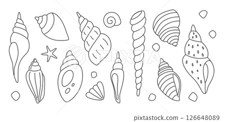 Line art set of various spiral seashells with editable unexpanded outlines, stroke in curves. Doodle style vector illustration perfect for coloring books, educational materials and marine themes Line art set of various spiral seashells with editable unexpanded outlines, stroke in curves. Doodle style vector illustration perfect for coloring books, educational materials and marine themes 126648089