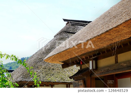 A post town lined with beautiful thatched roofs... Fresh greenery in "Ouchi-juku" 126648529