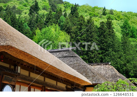 美麗的茅草屋頂的驛站小鎮…「大內宿」的新綠 126648531