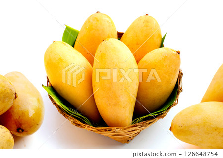 Ripe sweet yellow mango fruits on white Ripe sweet yellow mango fruits on white 126648754