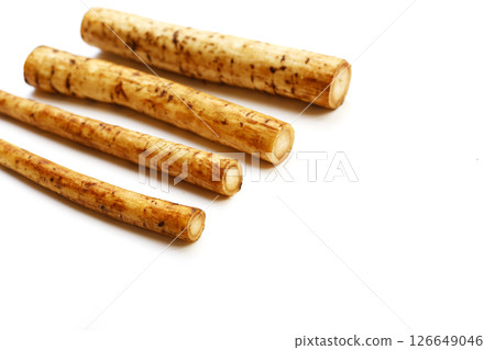 Fresh burdock roots or gobo roots Fresh burdock roots or gobo roots 126649046