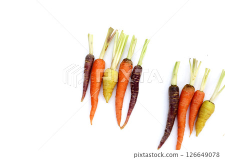 Fresh carrot vegetables, Ripe carrots 126649078