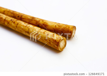Fresh burdock roots or gobo roots 126649171