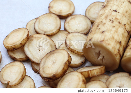 Fresh burdock roots or gobo roots Fresh burdock roots or gobo roots 126649175