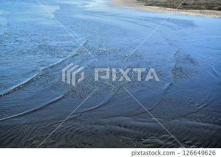 Funabashi Sanbanze Seaside Park, Funabashi City, Chiba Prefecture Funabashi Sanbanze Seaside Park, Funabashi City, Chiba Prefecture 126649626