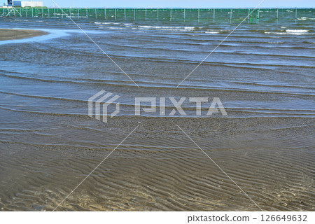 千葉縣船橋市船橋三番瀨海濱公園 126649632
