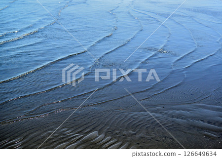 Funabashi Sanbanze Seaside Park, Funabashi City, Chiba Prefecture 126649634