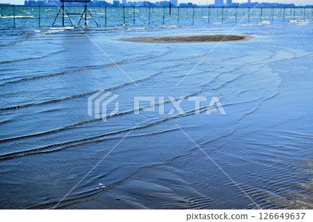 千葉縣船橋市船橋三番瀨海濱公園 千葉縣船橋市船橋三番瀨海濱公園 126649637