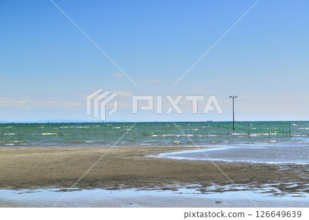 千葉縣船橋市船橋三番瀨海濱公園 千葉縣船橋市船橋三番瀨海濱公園 126649639