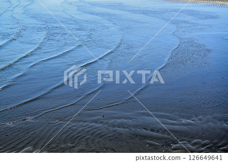 千葉縣船橋市船橋三番瀨海濱公園 126649641