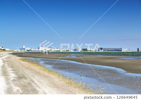 Funabashi Sanbanze Seaside Park, Funabashi City, Chiba Prefecture 126649645
