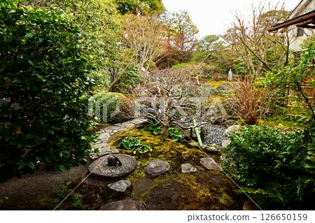 Kyoto Prefecture, Toji Temple Kanchiin Temple and Kaede Senkan Garden, Kujo-cho, Minami-ku, Kyoto City, February 2022 Kyoto Prefecture, Toji Temple Kanchiin Temple and Kaede Senkan Garden, Kujo-cho, Minami-ku, Kyoto City, February 2022 126650159