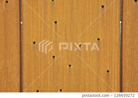 Young birch tree growing in the middle of a patio of a modern building, contemporary architecture 126650272