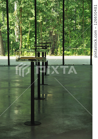 An exhibition of museum artifacts in a modern museum, on tables set in a forest behind a large glass window An exhibition of museum artifacts in a modern museum, on tables set in a forest behind a large glass window 126650481