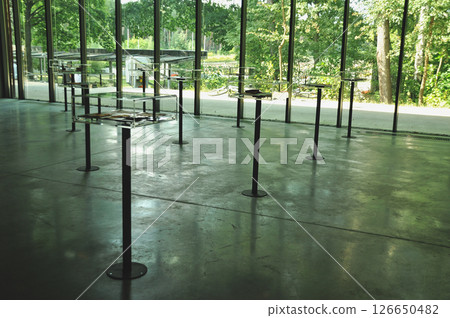An exhibition of museum artifacts in a modern museum, on tables set in a forest behind a large glass window 126650482